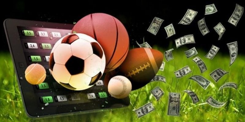 Nhiều hình thức hấp dẫn, hội viên tha hồ chọn lựa