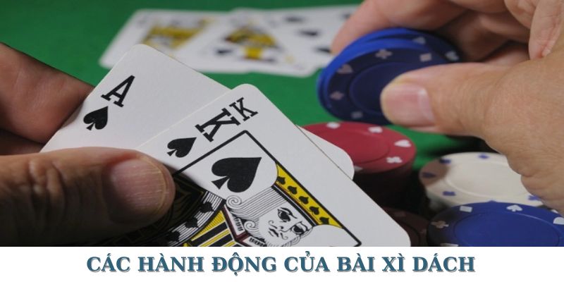 Những hành động có tại chơi đánh bài xì dách online